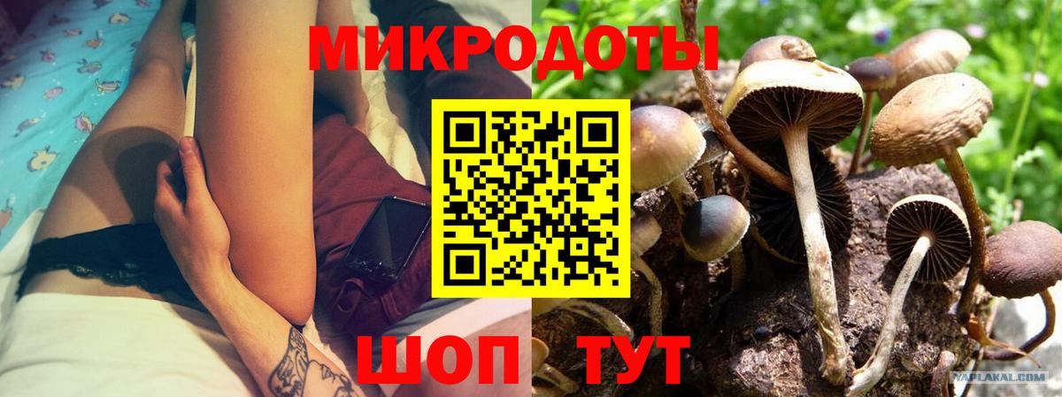 Ангарск  Галлюциногенные грибы прущие грибы  Галлюциногенные грибы Cubensis  дарнет шоп  Вход с VPN 